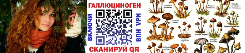 Псилоцибиновые грибы Magic Shrooms  Чайковский 