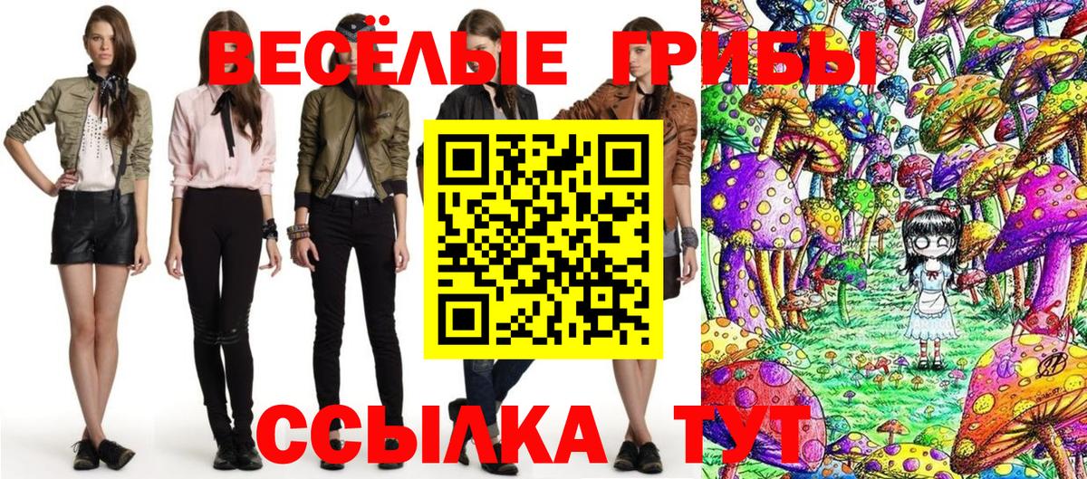 Псилоцибиновые грибы GOLDEN TEACHER  Вход с VPN  Чайковский 